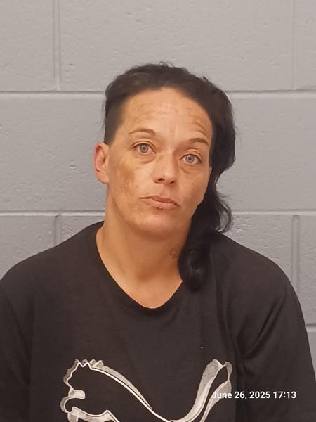 Arrest photo of JESSICA WOLLEN