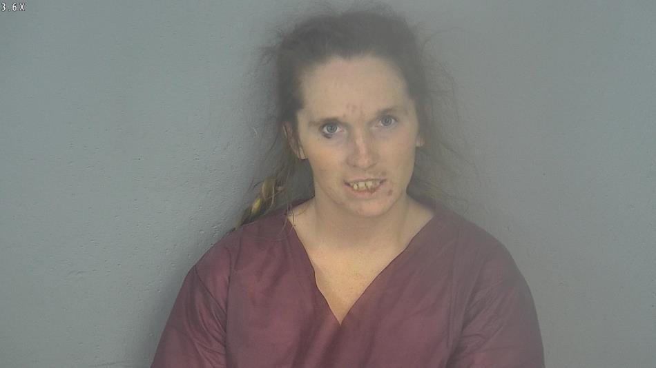 Arrest photo of JESSICA CASTEEL