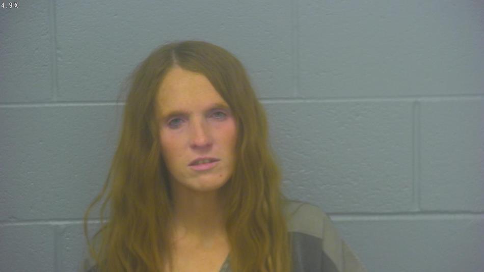 Arrest photo of JESSICA CASTEEL