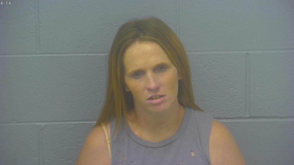 Arrest photo of JESSICA CASTEEL