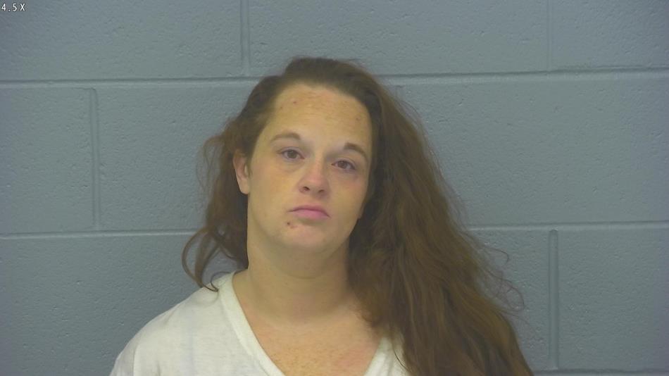 Arrest photo of JESSICA TANNER