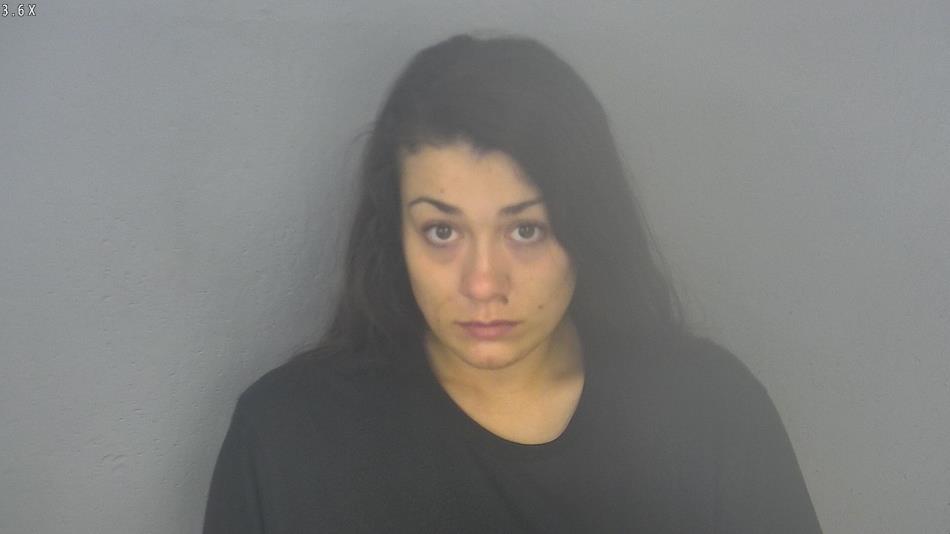 Arrest photo of JESSICA LURVEY