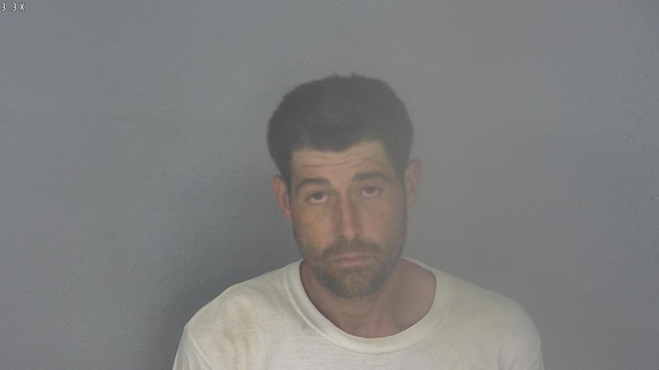 Arrest photo of JESSIE SANDERS