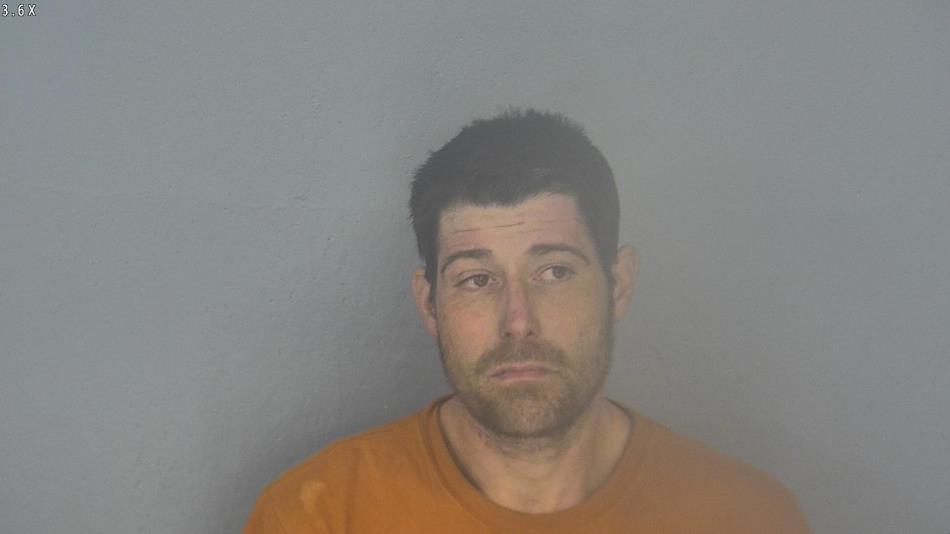 Arrest photo of JESSIE SANDERS