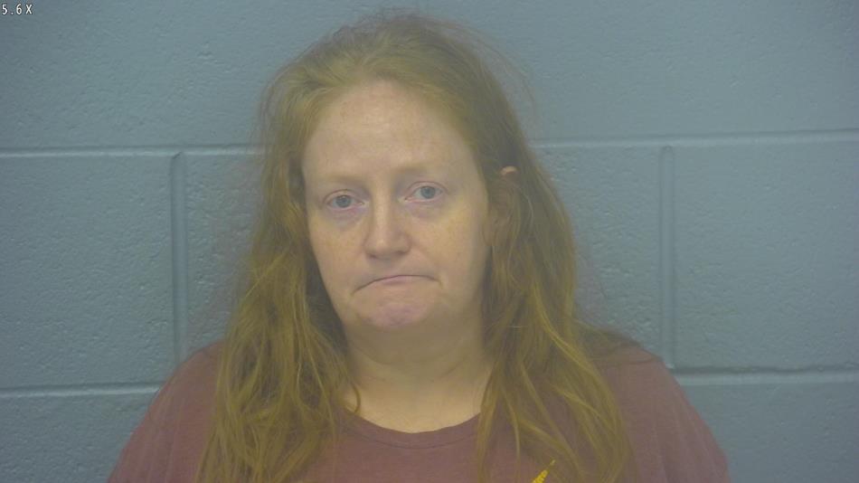 Arrest photo of JILL WAKE-CARTER