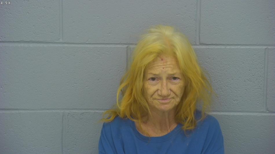 Arrest photo of JO STRONG