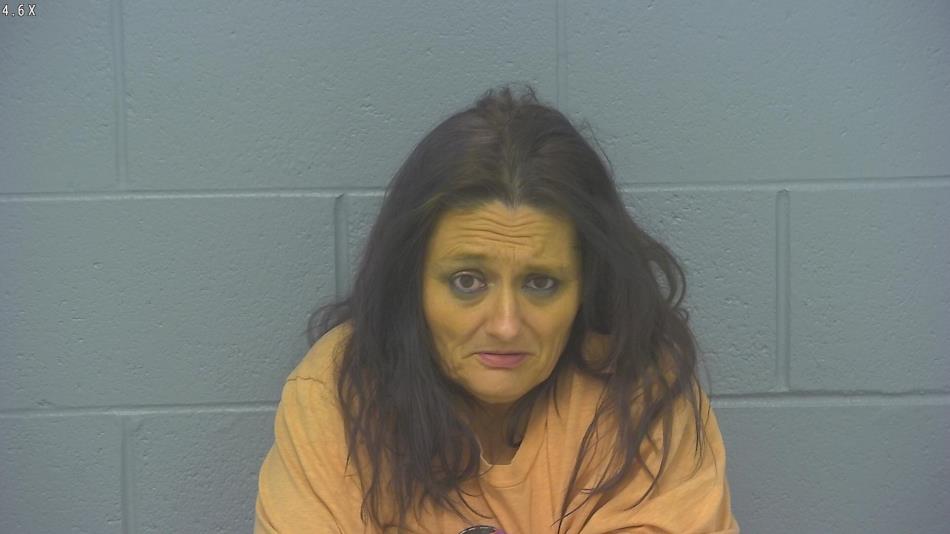 Arrest photo of JOANN KAVANAUGH