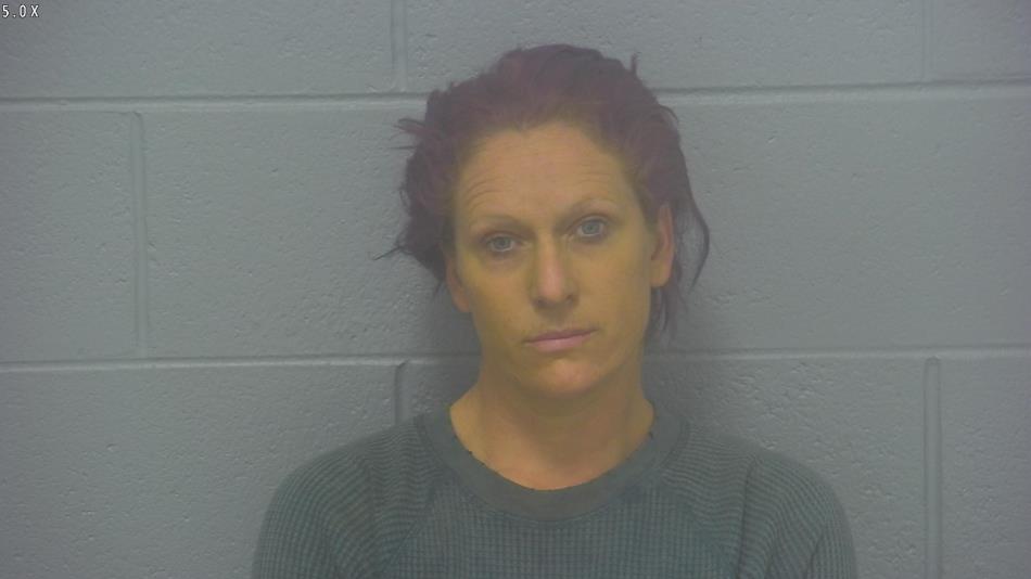 Arrest photo of JOANNA SCOTT