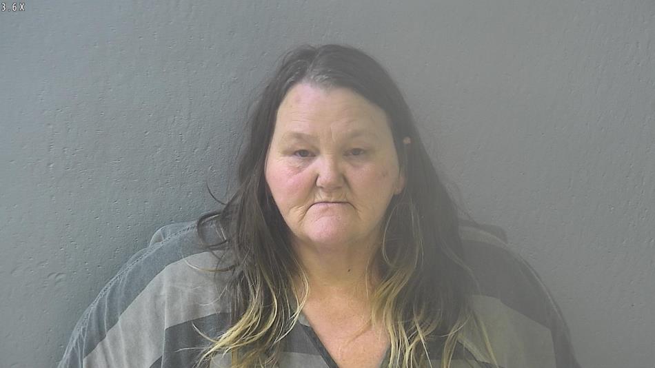 Arrest photo of JOANNE FINLEY