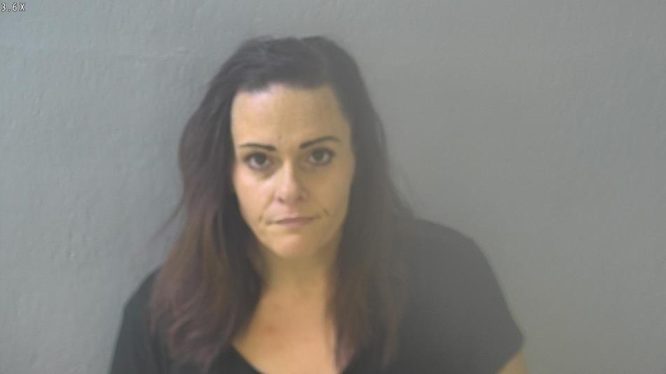 Arrest photo of JODI POWELL