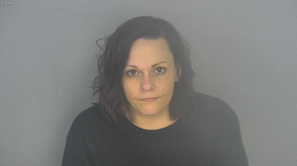 Arrest photo of JODI POWELL