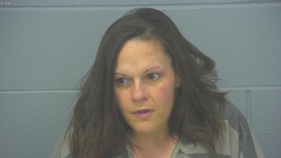 Arrest photo of JODI POWELL