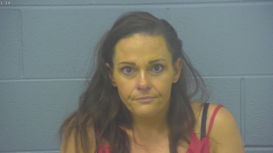 Arrest photo of JODI POWELL