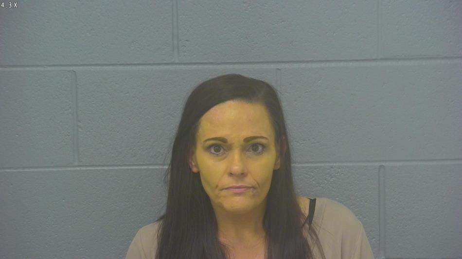 Arrest photo of JODI POWELL