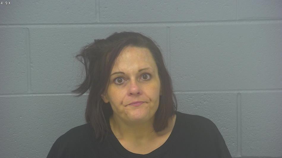 Arrest photo of JODI POWELL