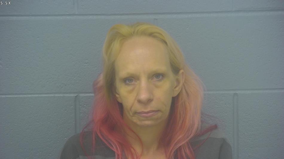 Arrest Photo of JODIE DURHAM-SNIDER, arrested on 6/6/2024