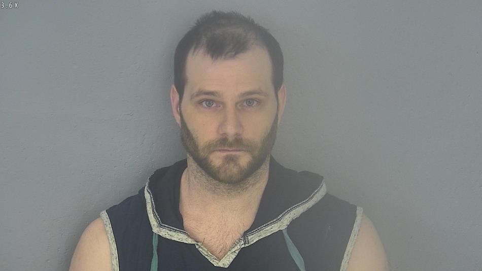 Arrest photo of JOEL BELL