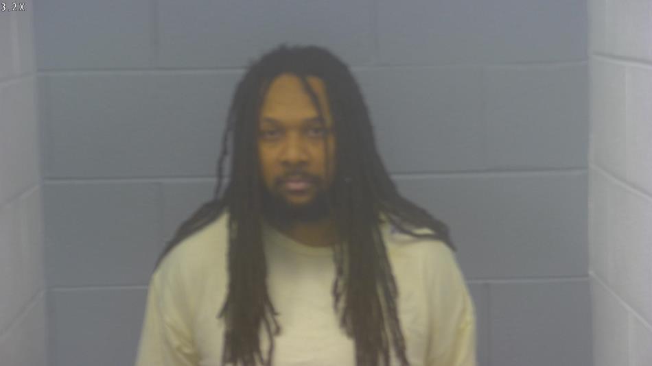 Arrest photo of JOHN LEE