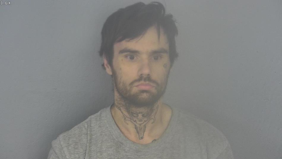 Arrest photo of JOHN LEE