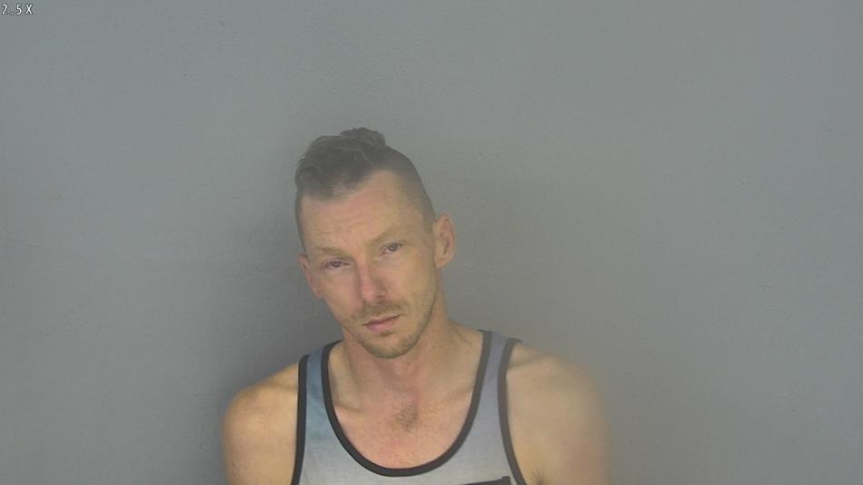 Arrest photo of JOHN GOODSON