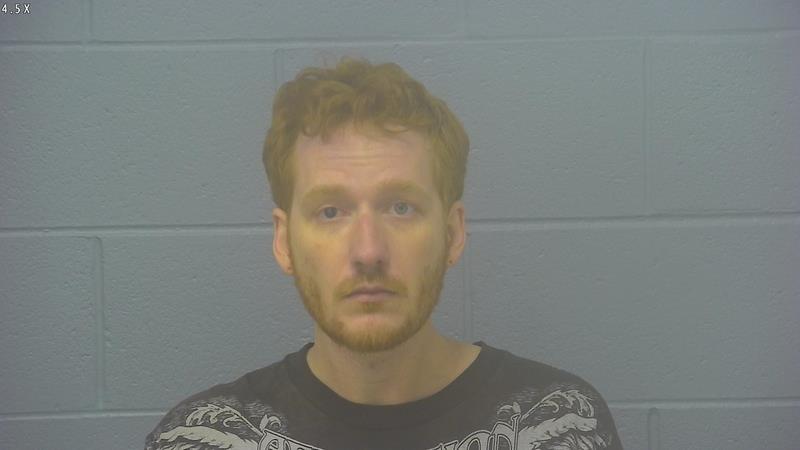 Arrest photo of JONAS ERFLING