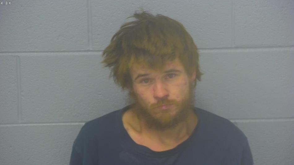 Arrest photo of JORDAN FIRESTONE