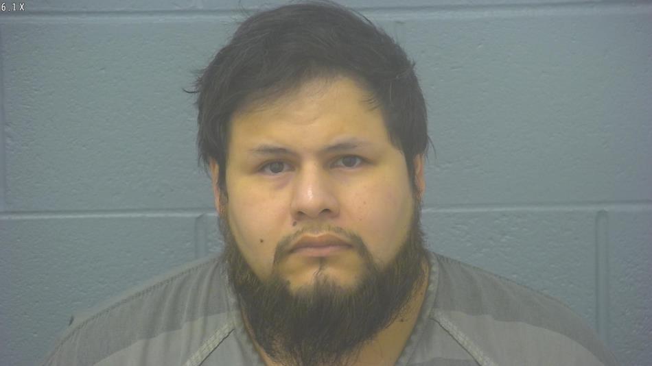 Arrest photo of JOSE MARTIR