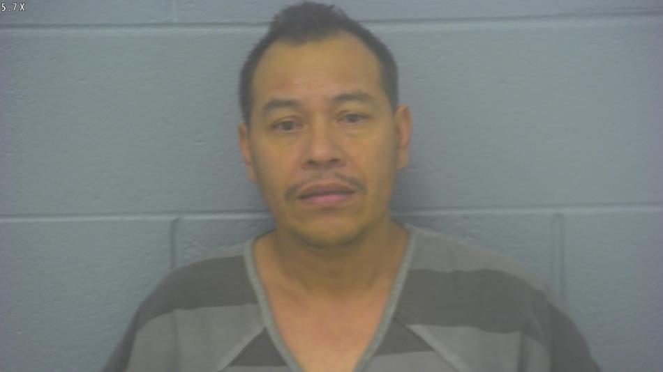 Arrest photo of JOSE  PERDOMO