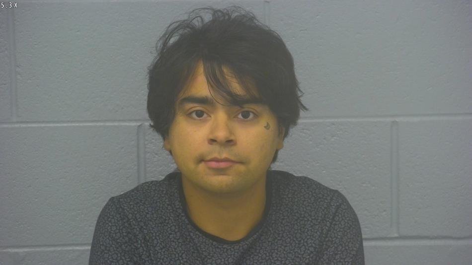 Arrest photo of JOSH PEACOCK