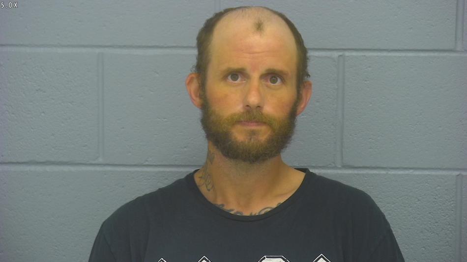 Arrest photo of JOSHUA  BRESHEARS