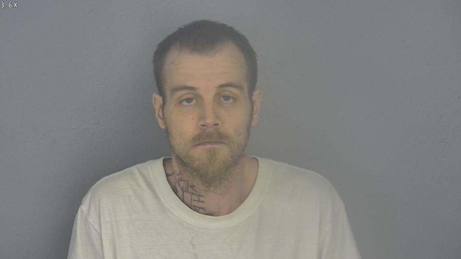 Arrest photo of JOSHUA COTTON