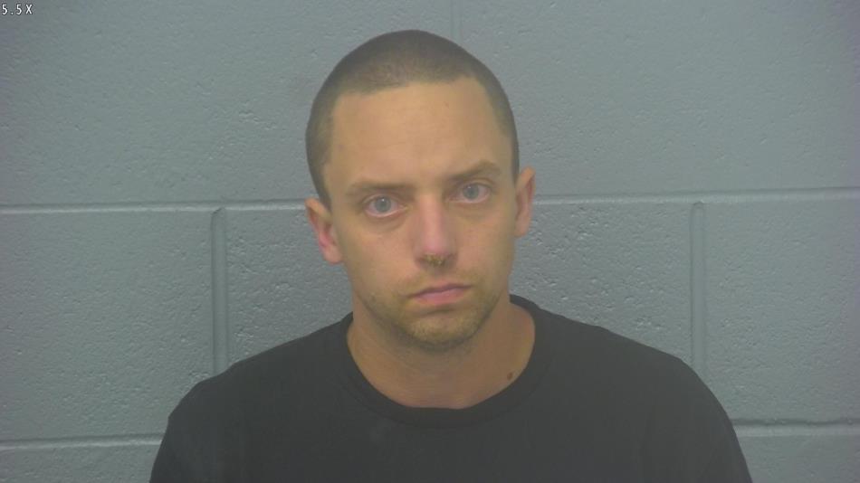 Arrest photo of JOSHUA REED