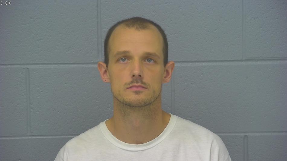 Arrest photo of JOSHUA LEAMON