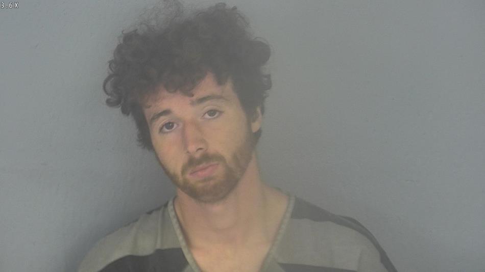 Arrest photo of JOSHUA BURTIN