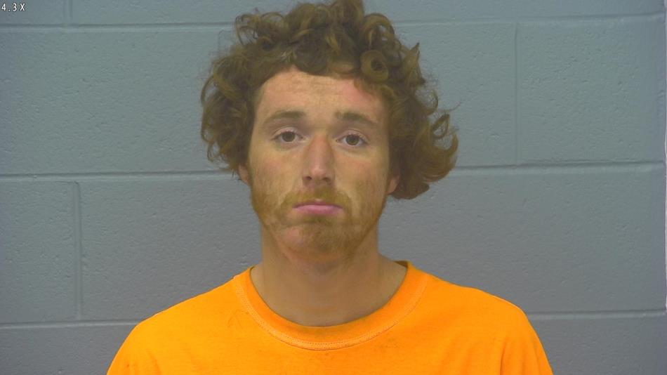 Arrest photo of JOSHUA BURTIN