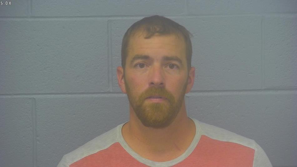 Arrest photo of JOSHUA EIDSON