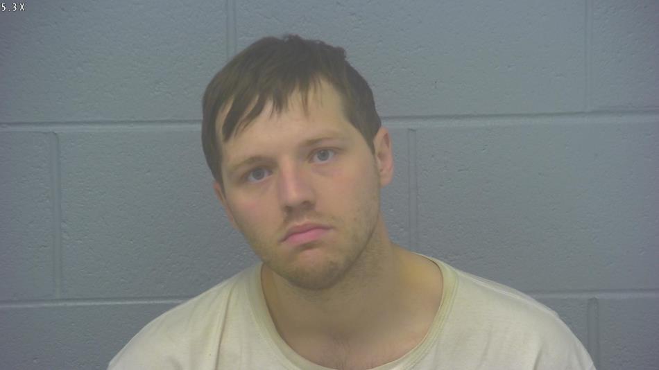 Arrest photo of JOSHUA PROVANCE