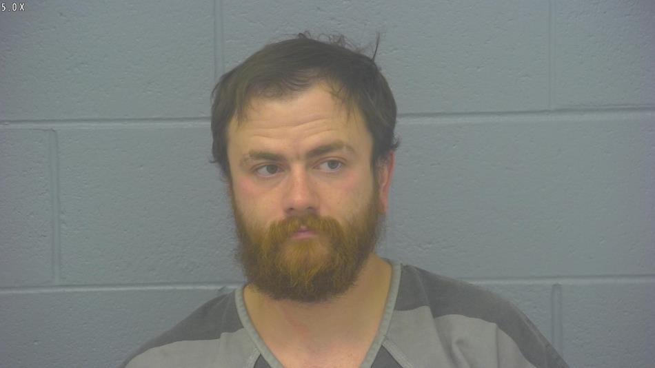 Arrest photo of JOSHUA DORMAN