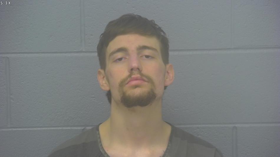 Arrest photo of JOSHUA HAASE