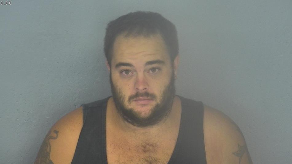 Arrest photo of JOSHUA STARK