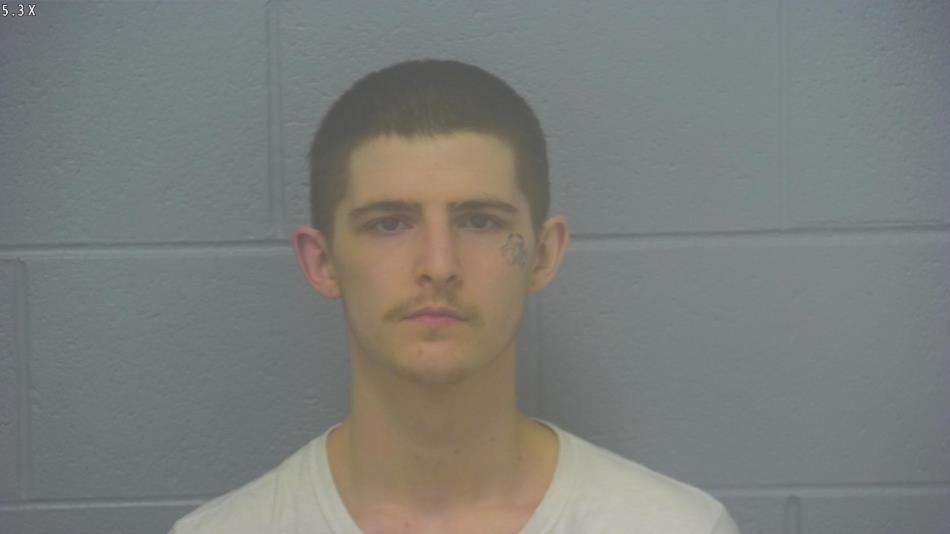 Arrest photo of JOSHUA WHITE 