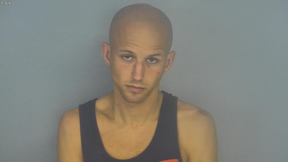 Arrest photo of JOSHUA LAWSON