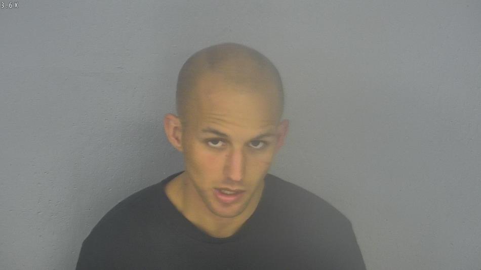Arrest photo of JOSHUA LAWSON