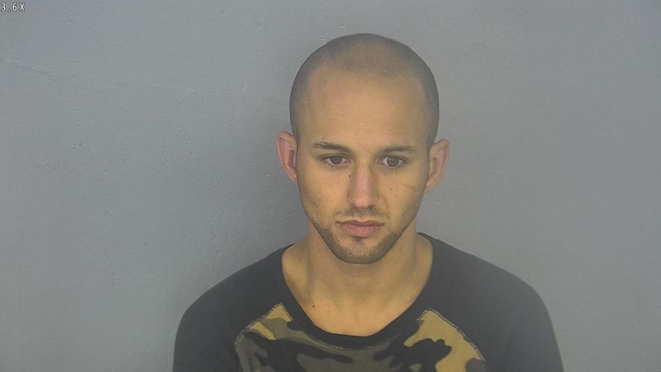 Arrest photo of JOSHUA LAWSON
