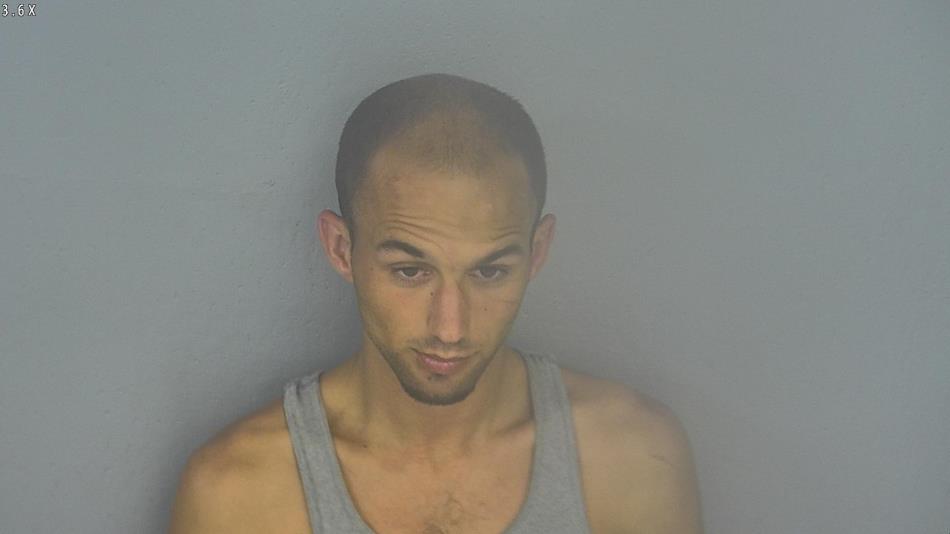 Arrest photo of JOSHUA LAWSON