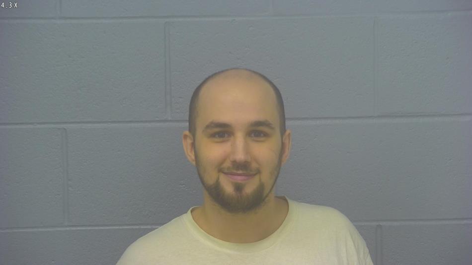 Arrest Photo of JOSHUA LAWSON, arrested on 8/8/2024