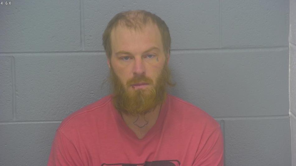 Arrest photo of JOSHUA WELLS