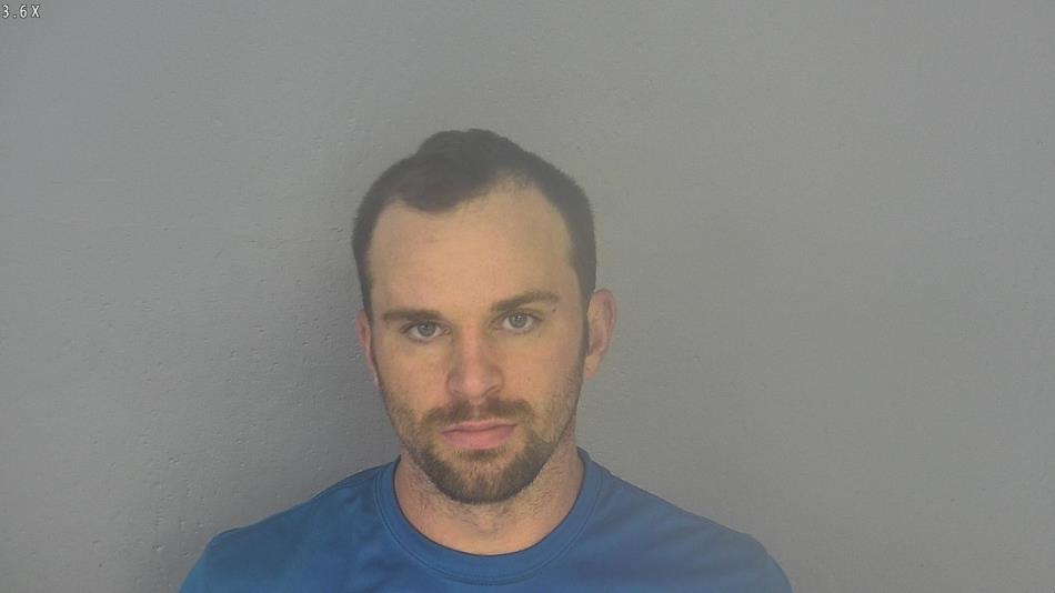Arrest photo of JOSHUA WAMSLEY