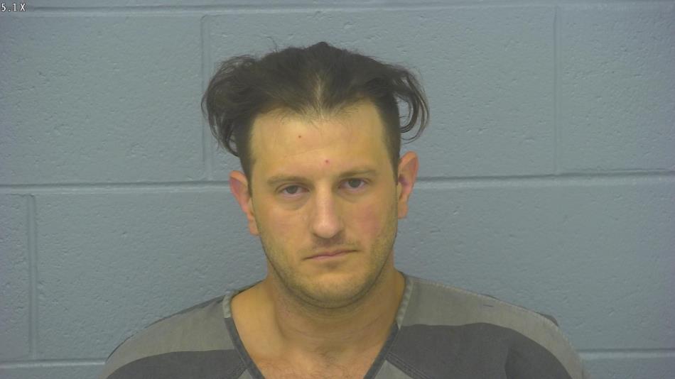 Arrest photo of JOSHUA SAFFEELS