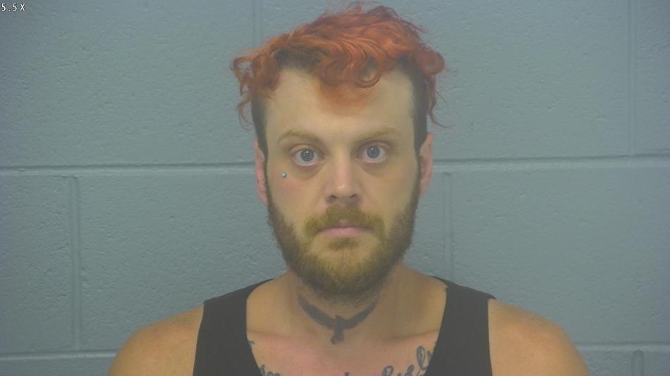 Arrest photo of JOSHUA STEVENS